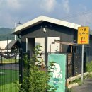 가평댕댕이애견펜션&글램핑골드 | 가평 | 댕댕이애견펜션글램핑골드 내돈내산 솔직후기