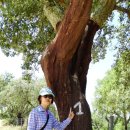 남근농장 이미지