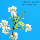 현충일 이미지