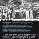 믿음환경 이미지