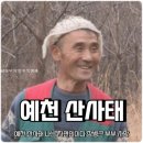 나는 자연인이다 부부장례식 이미지