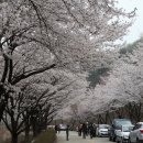 합천고을 이미지