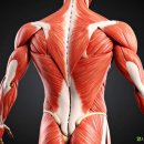 신안동6 이미지