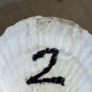 도림주공208동 이미지