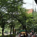 마포소방서 화장실 이미지