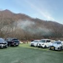 퍼니멍멍 네이버블로그