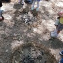성품숲자연학교- 홍성 숲 놀이터 이미지