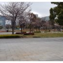 씨티플라자 앞 이미지