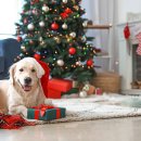 홈파티요리 이미지