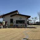 애견천국 | 파주 댕댕이 천국 포동 멍래블 애견운동장 마당 대여 후기