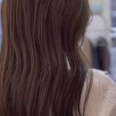 메이유헤어 - 양천구 목동서로 77 | 메이유헤어