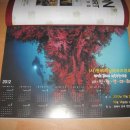 행복한 해적