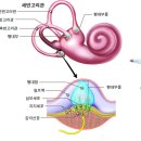 두침한의원 이미지