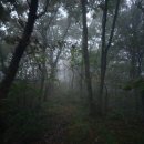 망대곰탕 | [블랙야크 100대 명산 34,35좌] 백암산, 무등산 등산 후기