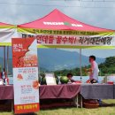 문척-1 이미지