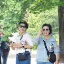 오아시스 이미지