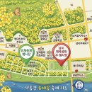 남지어린이공원 | 2026 창녕 유채꽃 축제 일정 l 미리 다녀온 찐 후기 + 아이랑 방문꿀팁까지!