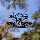 혁신로R | 김천구미 KTX역에서 카세어링 전기차 그린카 이용후기