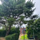 바다랑 포도펜션 이미지