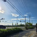 강서부산농장 | 부산강서구 한솔농장 청무화과 구매후기