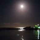 달빛풍경 이미지