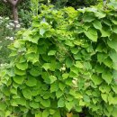 동보농장 이미지