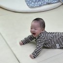 얼칼 - 기장군 | 얼칼