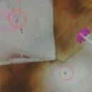 도리순이 | 도리순이 후기