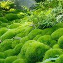 심기보농장 이미지