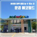 문경오미자권역마을 | 아이랑 하루 종일 놀기 좋은 곳 '문경 에코월드' (+ ★입장료 꿀팁)