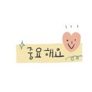포케올데이제주 이미지