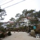 밤하늘펜션 이미지