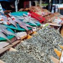 공수어촌체험마을 이미지