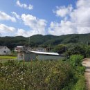 남박사부동산중개사무소 이미지