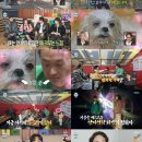 나의 단짝 반려동물 이미지