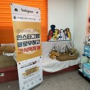 아우우(Aww) 네이버블로그