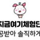 키레이 케이크(KIRAY CAKE) 이미지