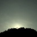 금평천 네이버블로그