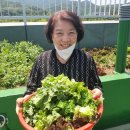 본마을데이케어센터 이미지