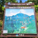 구재봉자연휴양림(하동) 이미지