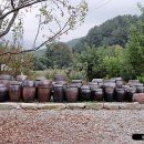 수락힐스테이펜션 이미지