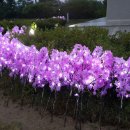 (주)광시스템 이미지