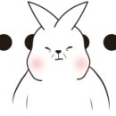세디르 이미지