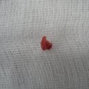 현대통통의원 이미지