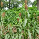 신바람농장 이미지