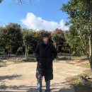 여니집 | [제주] 카멜리아힐 동백꽃 사진 명소 추천ㅣ제주도 여행 가볼만한 곳