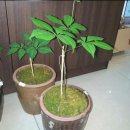 학선농장 이미지