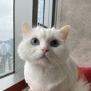 마린파크 동물병원 네이버블로그