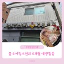 윤약국 | 은평구 윤소아과 6개월 예방접종 후기