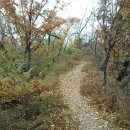 서리풀공원1-30 이미지